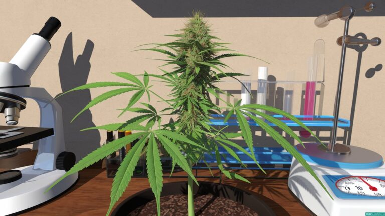 Cannabis Lab Testing Requirements 2025: US Compliance Guide